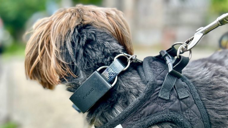 I tested Minitailz' AI-powered pet tracker, and it solved my biggest pain point as a dog owner