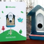 The best smart bird feeders of 2024