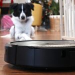 The best robot vacuums for pet hair of 2025: Expert tested and reviewed