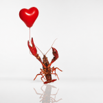 Yep, weβre using OpenClaw to date now lobster holding heart-shaped balloon